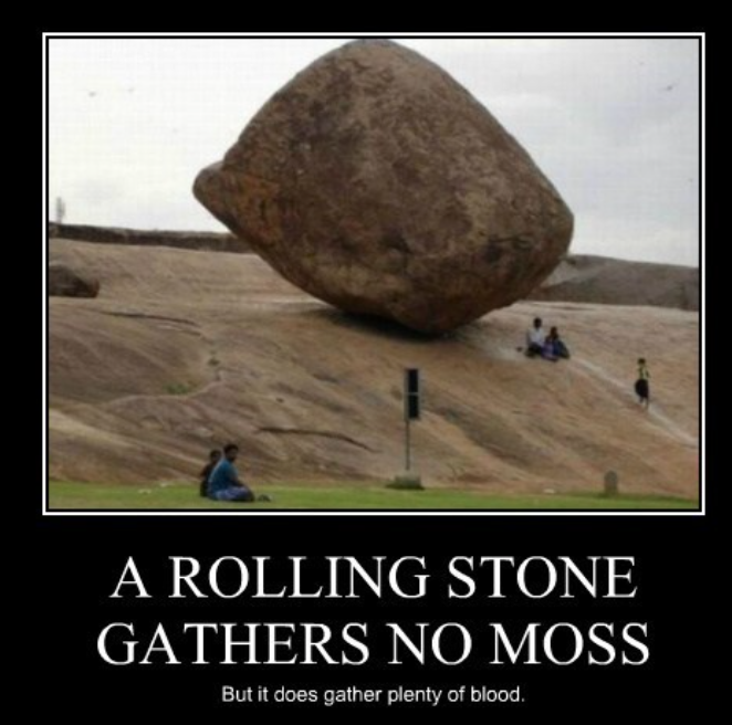 A rolling stone gathers no moss (meme)