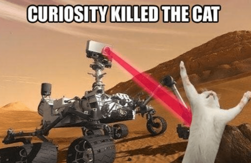Curiosity killed the cat (meme)
