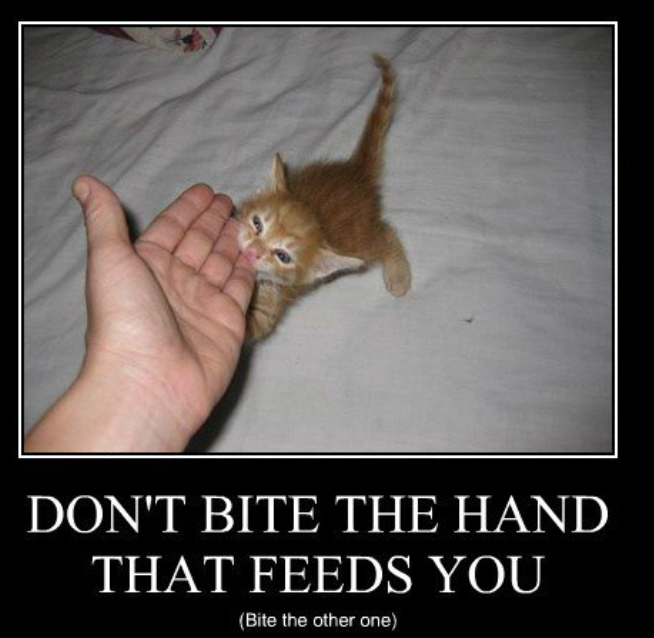 Don't bite the hand that feeds you (meme)