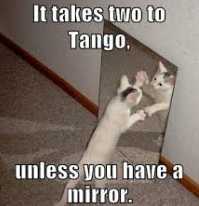It takes two to tango (meme)